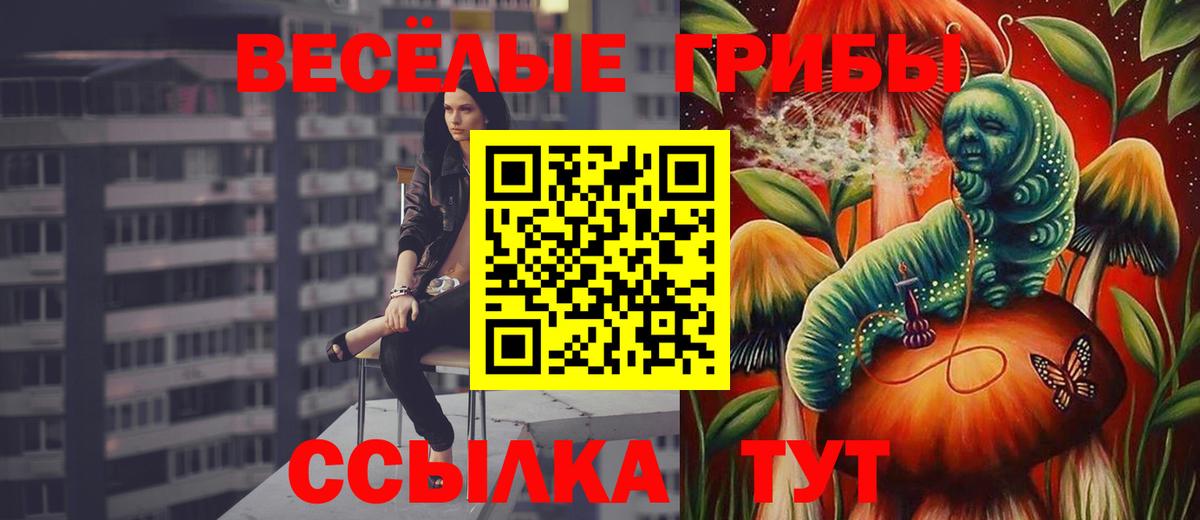 Псилоцибиновые грибы прущие грибы  Вход с VPN  Гай 